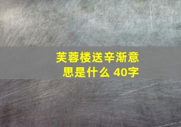 芙蓉楼送辛渐意思是什么 40字